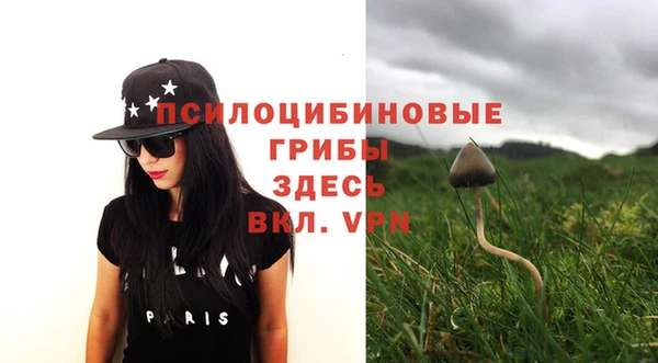 MDMA Premium VHQ Богородицк