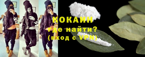 гидра Богородск