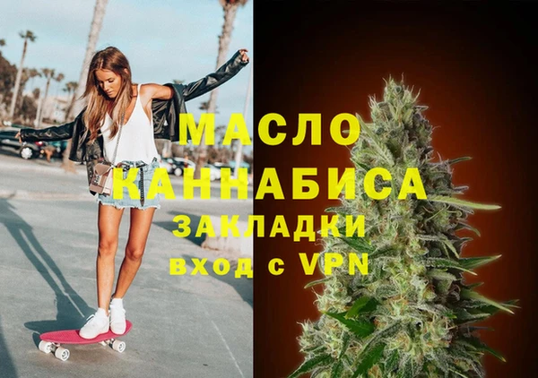 гидра Богородск
