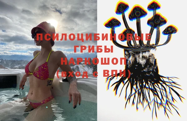 Альфа ПВП Богданович
