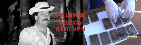 гидра Богородск