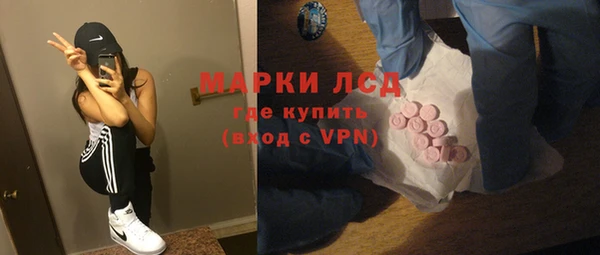 гидра Богородск