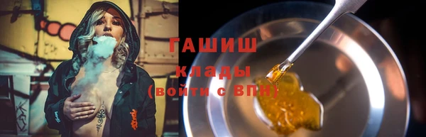 гидра Богородск