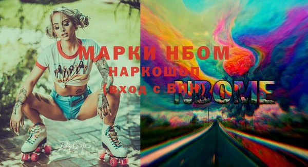 гидра Богородск