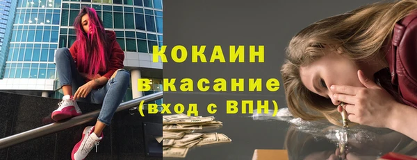 гидра Богородск